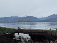 IMG_1259.jpeg