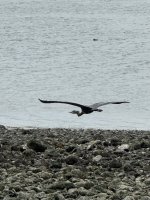 IMG_1282.jpeg
