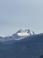 IMG_1241.jpeg