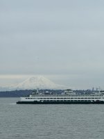 IMG_1303.jpeg