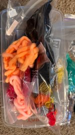 IMG_6418.jpeg