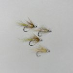 IMG_0225.jpeg