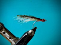 IMG_2718.jpeg
