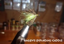 Hagen's Exploding Caddis.jpg