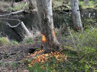 IMG_6206.jpeg