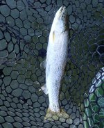IMG_6211.jpeg