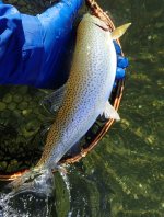 IMG_6217.jpeg
