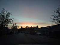 20260327_064513.jpg