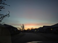 20260327_064451.jpg