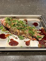 IMG_7983.jpeg