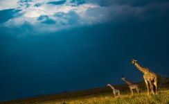 IMG_4438.jpeg