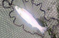 IMG_2753.jpeg