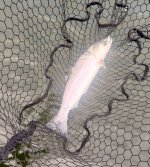 IMG_2751.jpeg