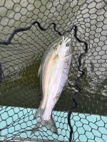 IMG_0294.jpeg