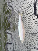 IMG_0292.jpeg