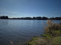 20260330_153646.jpg