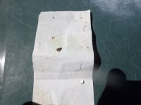 IMG_6276.jpeg