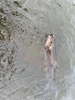IMG_5706.jpeg