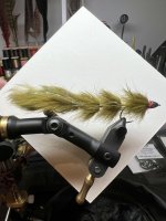 IMG_7991.jpeg