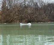 IMG_0323.jpeg IMG_0323.jpeg