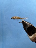 IMG_1112.jpeg