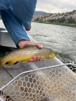 IMG_5129.jpeg