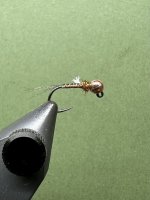 IMG_7993.jpeg
