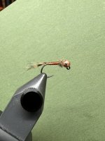 IMG_7995.jpeg
