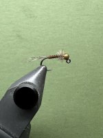IMG_7996.jpeg