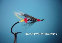 Black Doctor Hairwing.jpg