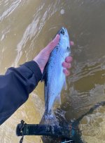 IMG_0346.jpeg