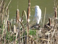 IMG_5134.JPG IMG_5134.JPG