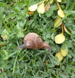 IMG_6291.jpeg