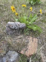 IMG_5720.jpeg