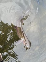 IMG_5734.jpeg
