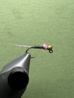 IMG_7998.jpeg