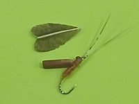 tape wing caddis 3.jpg tape wing caddis 3.jpg