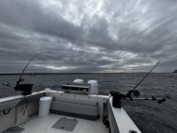 IMG_1442.jpeg IMG_1442.jpeg