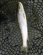 IMG_6300.jpeg