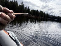 IMG_3923.JPG IMG_3923.JPG