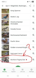 Screenshot_20260404_082018_Merlin Bird ID.jpg Screenshot_20260404_082018_Merlin Bird ID.jpg