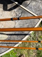IMG_1607.jpeg