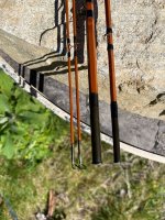 IMG_1608.jpeg