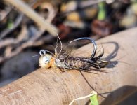 20260404_bestfly.jpg