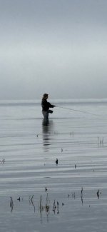 IMG_9299.jpeg