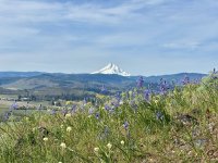 IMG_4518.jpeg