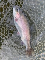 IMG_0389.jpeg