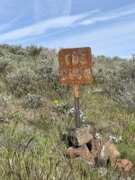 IMG_7237.jpeg