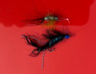 IMG_6234.jpeg