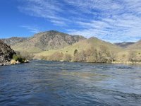 IMG_5739.jpeg